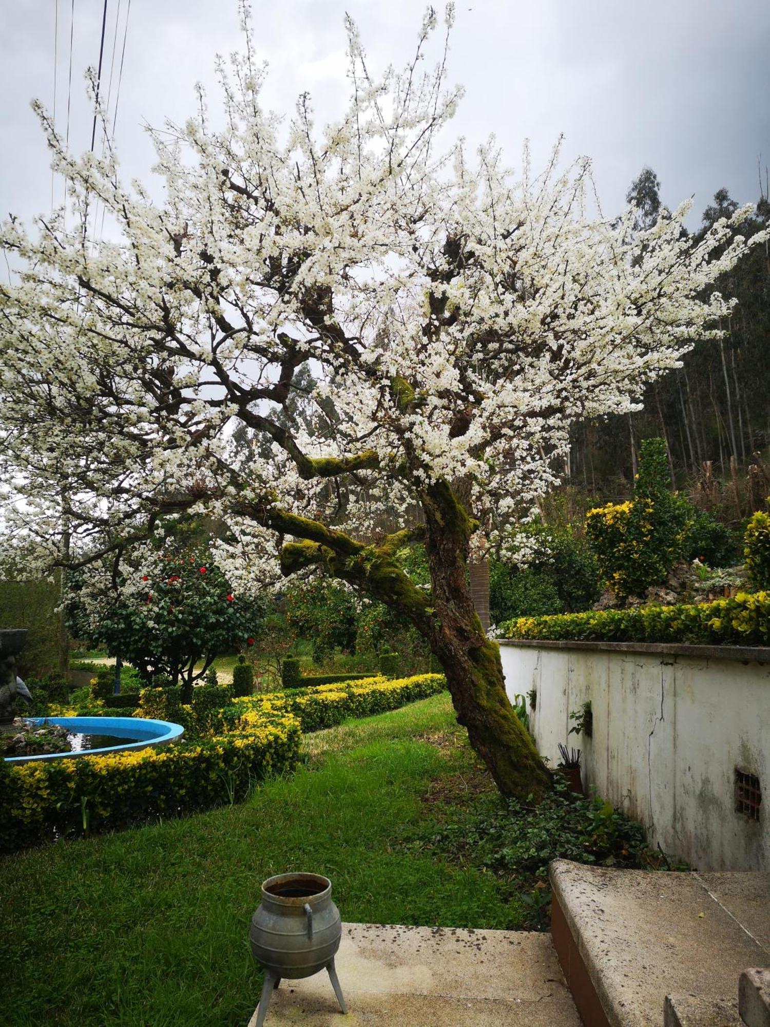 Quinta Das Aguias Aveiro Exteriér fotografie