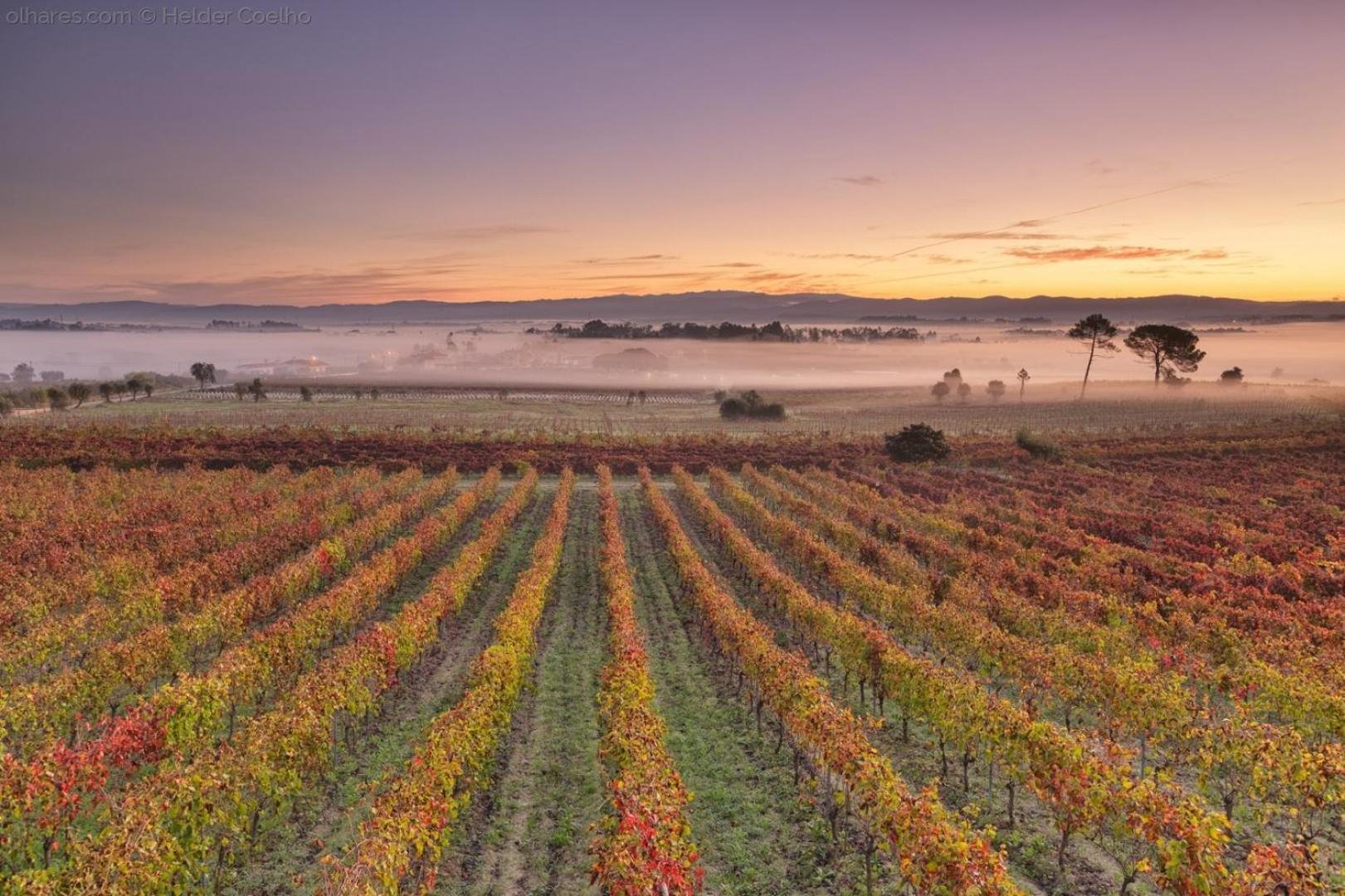 Quinta Das Aguias Aveiro Exteriér fotografie
