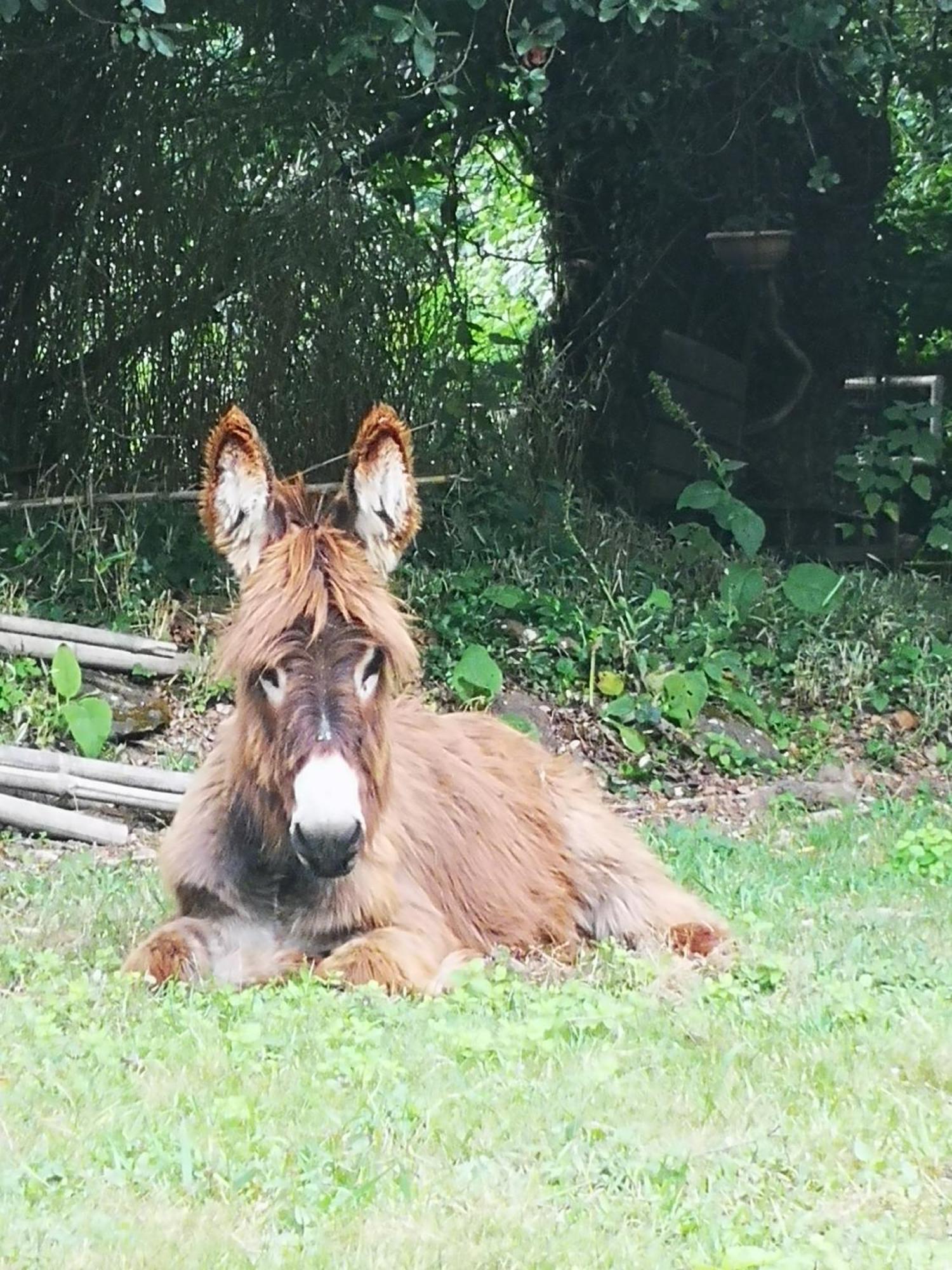 Quinta Das Aguias Aveiro Exteriér fotografie