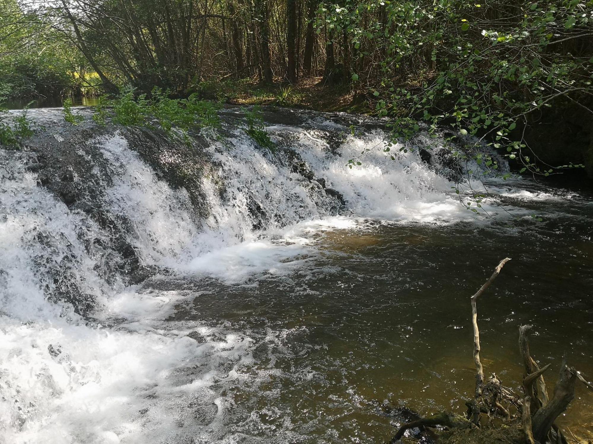 Quinta Das Aguias Aveiro Exteriér fotografie