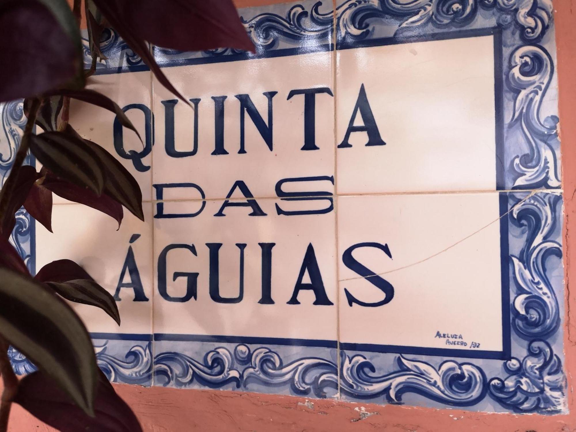 Quinta Das Aguias Aveiro Exteriér fotografie