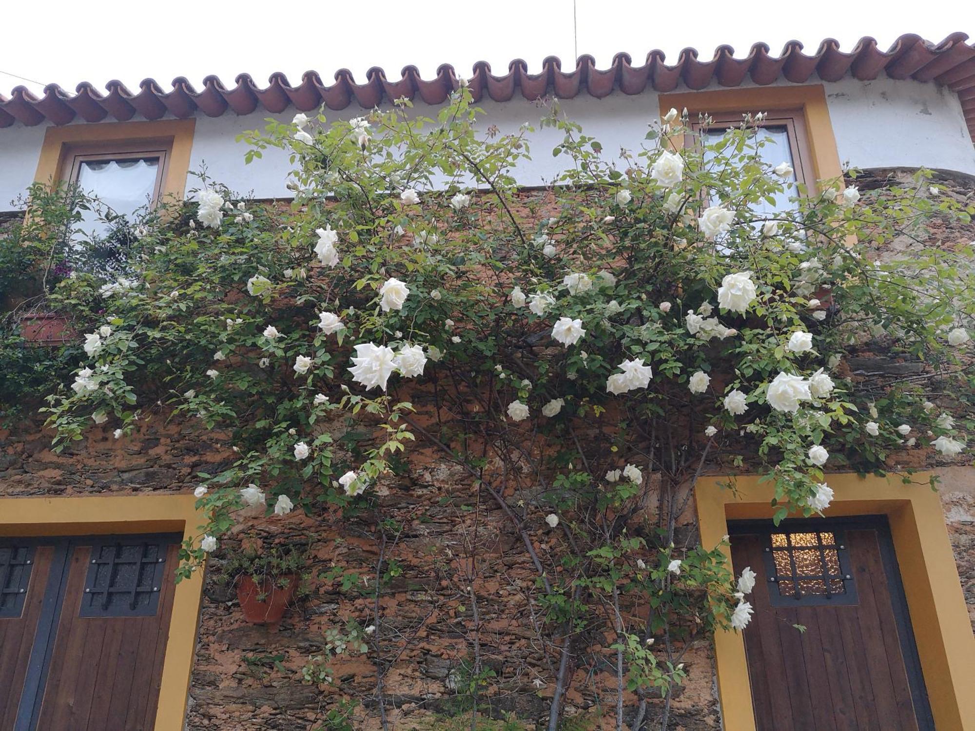 Quinta Das Aguias Aveiro Exteriér fotografie