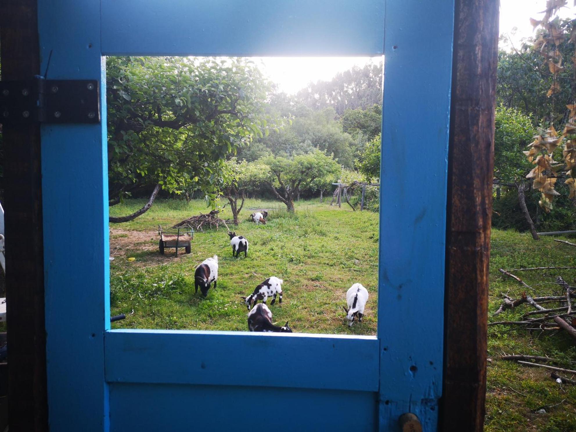 Quinta Das Aguias Aveiro Exteriér fotografie