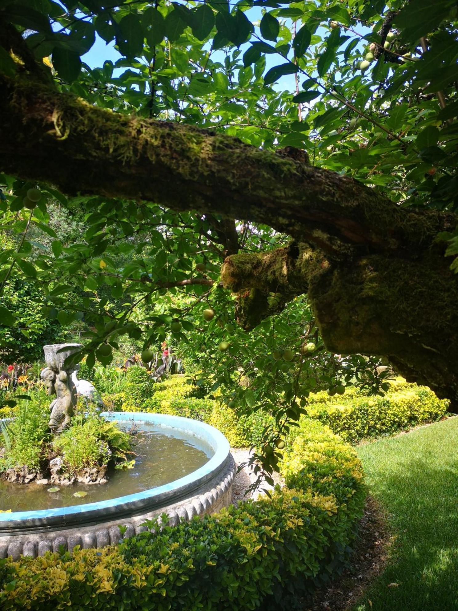 Quinta Das Aguias Aveiro Exteriér fotografie